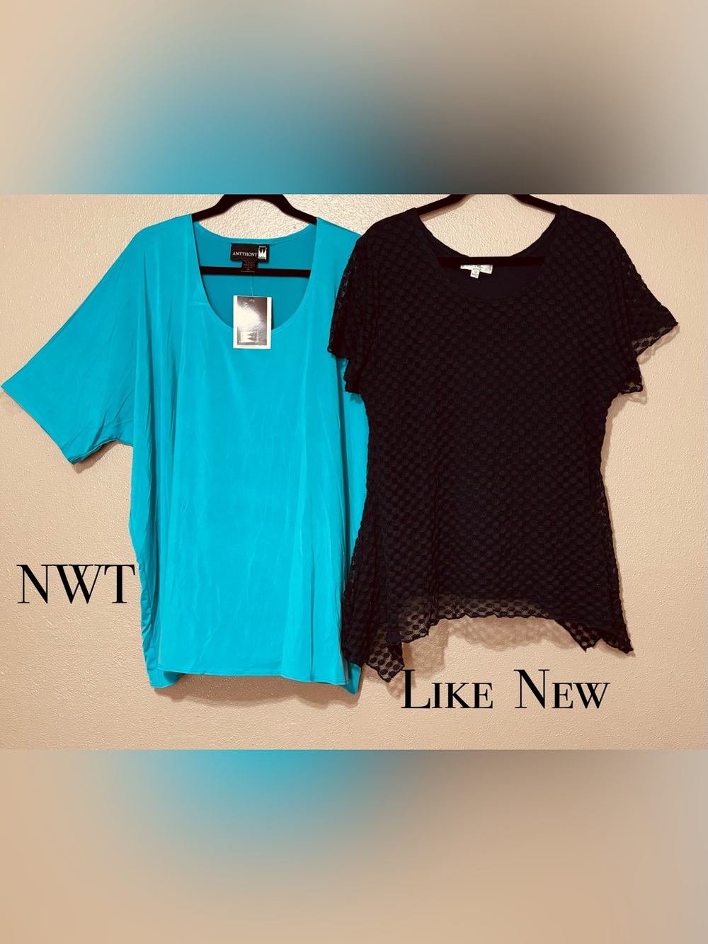 Women’s | Lot of 2 Tops | short sleeves and scoop necks 1-NWT and 1-like new